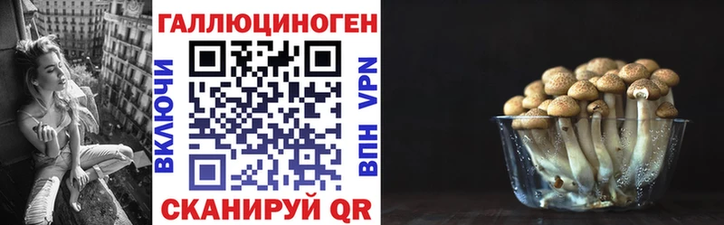 Галлюциногенные грибы GOLDEN TEACHER  наркошоп  Ефремов 